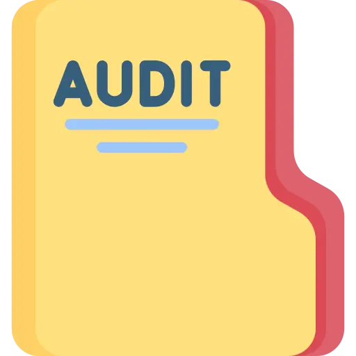 audit